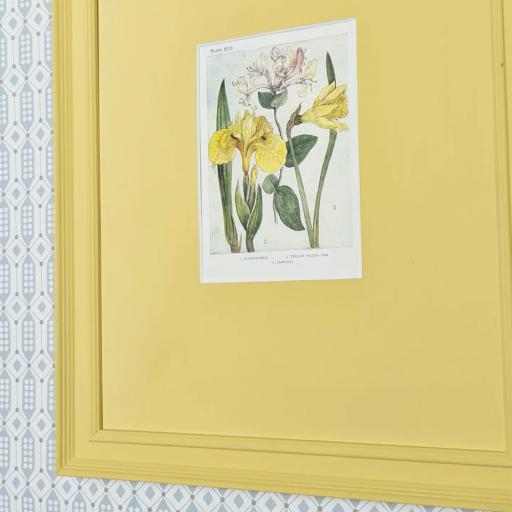 Antique Print of Daffodils in Yellow Frame
