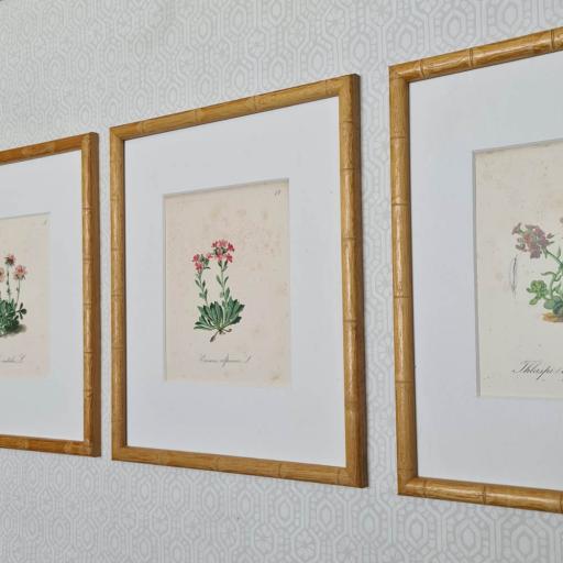 Set of Three Botanical Prints in Bamboo Frames