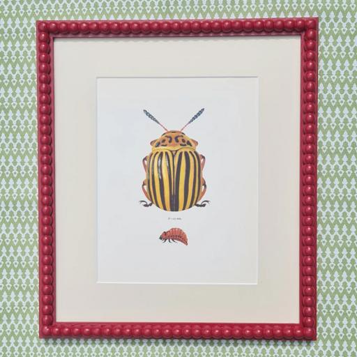 Beetle Print In Red Bobbin Frame