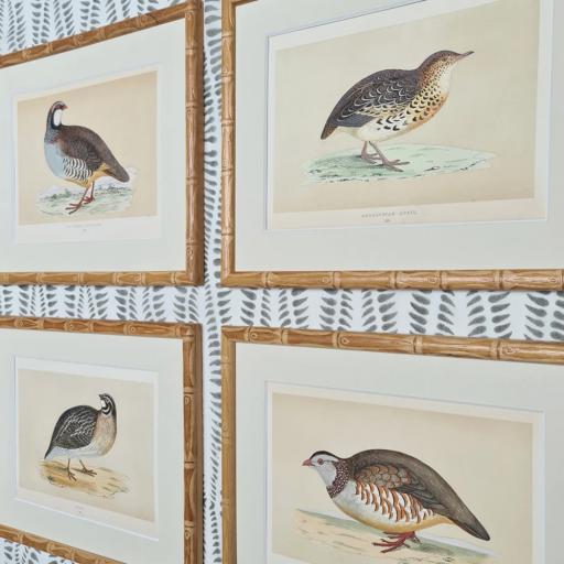 Set of 4 Antique Bird Prints in Bamboo Frames