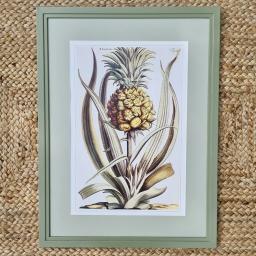 Pineapple1.jpg