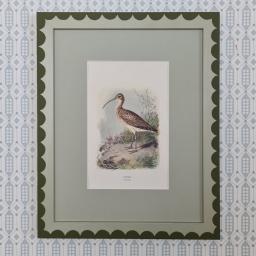 Woodcock and Curlew 2.jpg