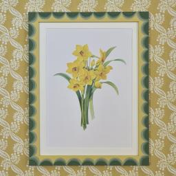 Daffodils 1.jpg