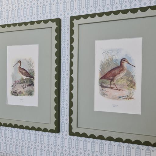 Pair of Antique Bird Prints in Handpainted Scalloped Frames