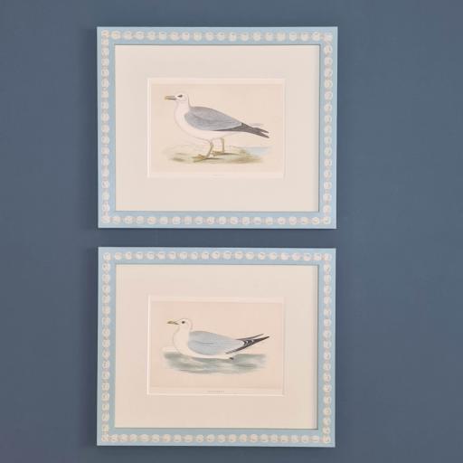 Pair of Birds in Handpainted Frames - Fulmar & Kittiwake Birds