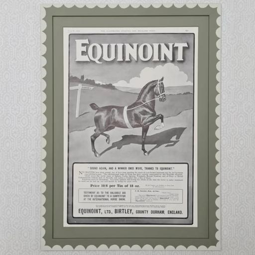 Vintage Equestrian Advert from 1918