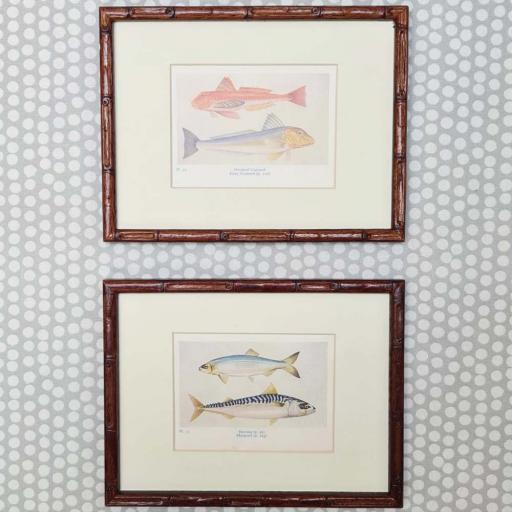 Pair of Antique Fish Prints in Bamboo Frames