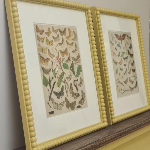 Pair of Butterflies & Moths Antique Prints in Yellow Bobbin Frames
