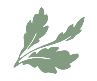 oak leaf.png