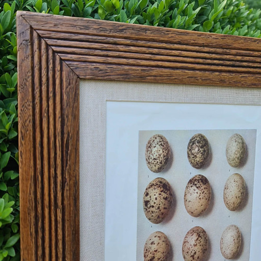 Eggs5.jpg