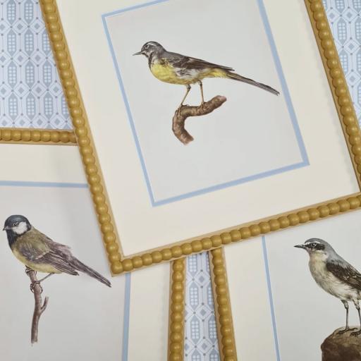 Set of Three Bird Prints in Yellow Bobbin Frames