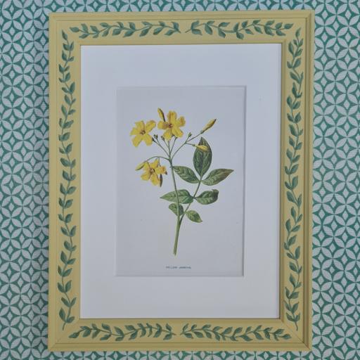 Jasmine Print in Handpainted Frame