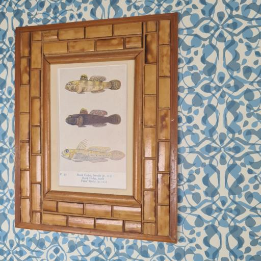Fish Print in Vintage Bamboo Frame