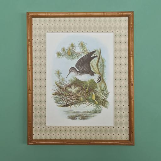 Vintage Bird Nesting Print in Bamboo Frame