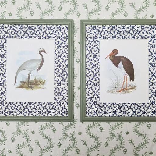 Pair of Bird Prints in Decorative Mounts