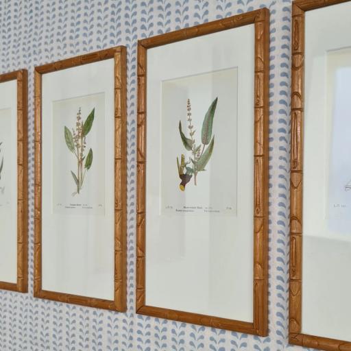 Set of 4 Botanical Prints in Bamboo Frames