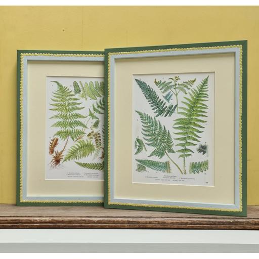 Pair of Vintage Fern Prints in Handpainted Frames