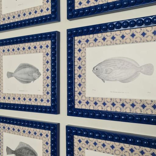 Set of Six Vintage Fish Prints in Bright Blue Gloss Bobbin Frames