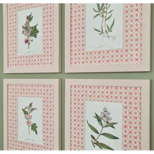 Set of 4 Botanical Vintage Prints in Decorative Mounts