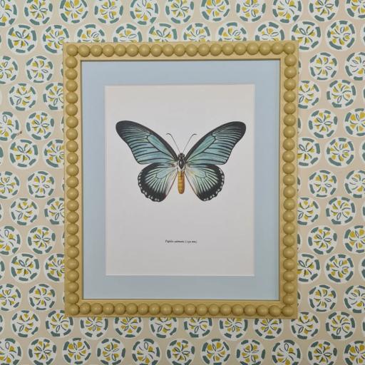 Vintage Butterfly Print in Bobbin Frame