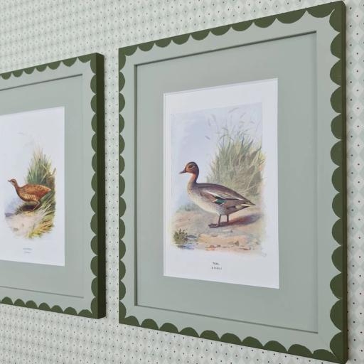 Pair of Vintage Bird Book Plates in Scallop Frames