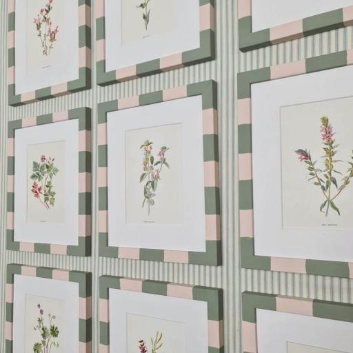 Set of 9 Botanical Prints in Pink and Green Striped Frames