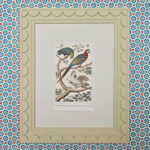Vintage Print of Tropical Birds in Scallop Frame