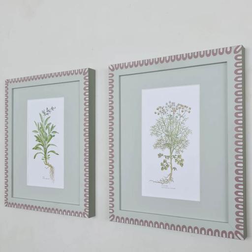 Pair of Vintage Herb Prints in Handpainted Frames