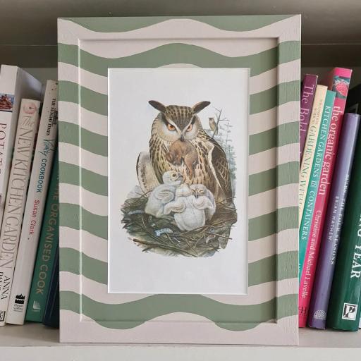 Vintage Owl Prints in Handpainted Wavy Frames
