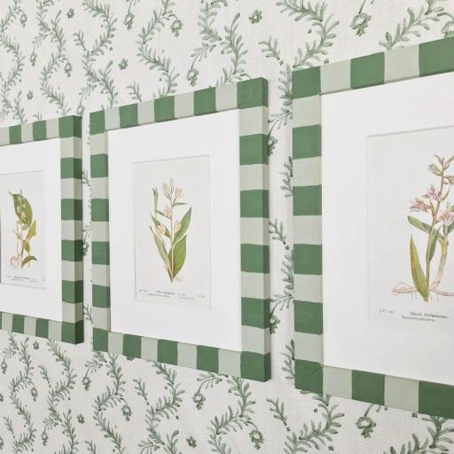 Set of Three Vintage Orchid Prints in Striped Frames