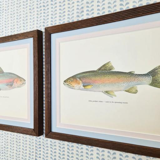 Pair of Salmon Prints in Reeded Frames
