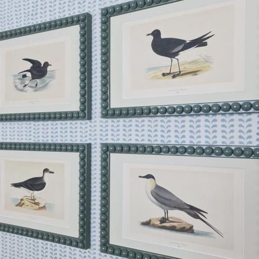 Set of 4 Bird Prints in High Gloss  Bobbin Frames
