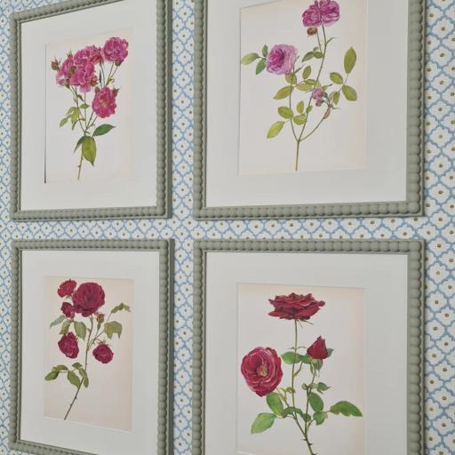 Set of 4 Rose Prints in Bobbin Frames
