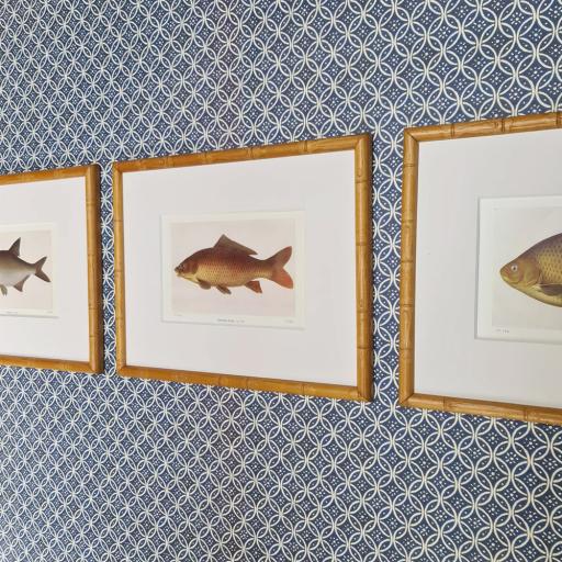 Set of 3 Fish Prints in Bamboo Frames