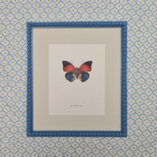 Butterfly Print in Gloss Blue Bobbin Frame