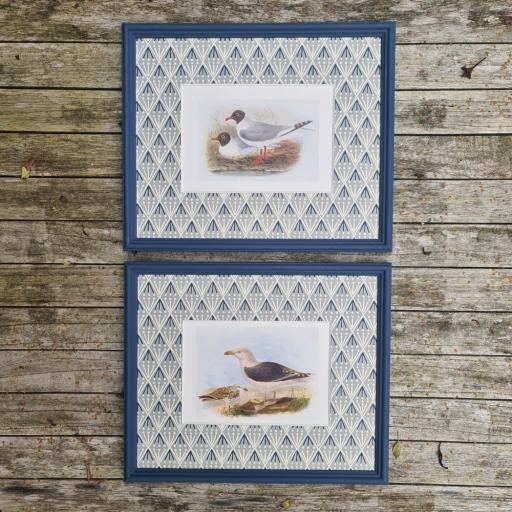 Pair of Seabird Prints in Decorative Mounts