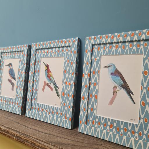 Set of 3 Bird Prints in Wrapped Frames