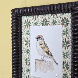 Sparrowwatercolour2.jpg
