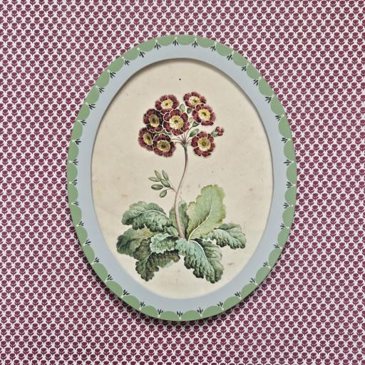 Handpainted Antique Botanical Print in Oval Handpainted Frame