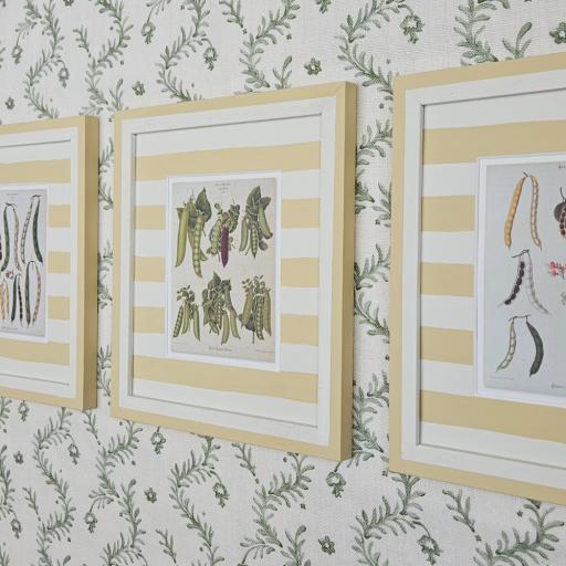 Set of 3 Prints of Peas and Beans in Striped Frames and Mounts