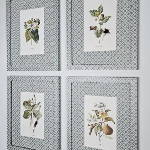Set of 4 Botanical Prints in Parterre Green Wrapped Frames