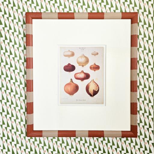 Onions in Handpainted Striped Frame