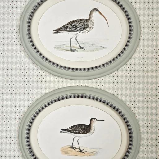 Pair of Antique Bird Prints in Oval Handpainted Frames