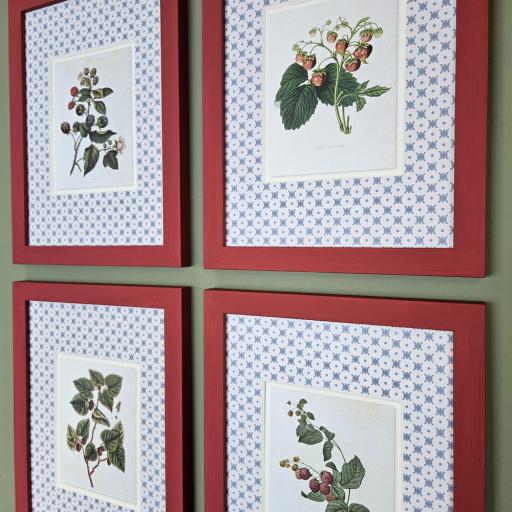 Set of 4 Berry Prints in Rectory Red Frames