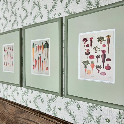 3 Root Vegetable Prints In Colour Block Frames