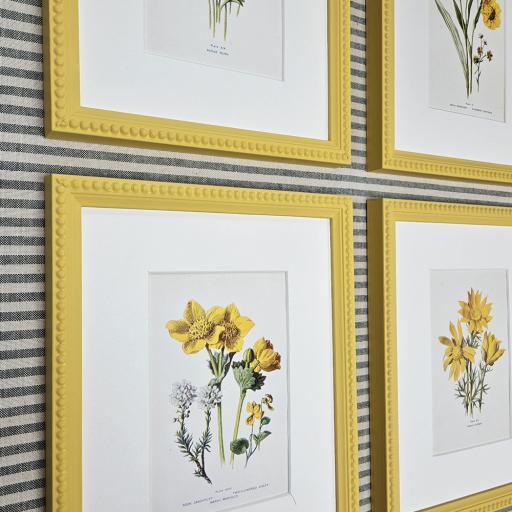 Set of 4 Vintage Botanical Book Plates in Yellow Frames