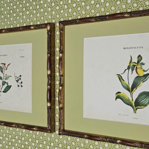 Pair of Botanical Prints in Bamboo Frames