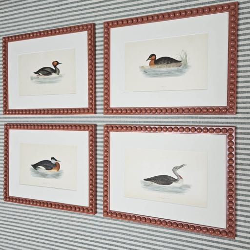 Set of 4 Antique Bird Prints in Tuscan Red Gloss Bobbin Frames