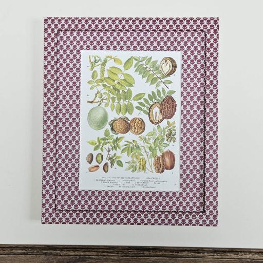 Vintage Print of Nuts and Walnuts in Wrapped Frame