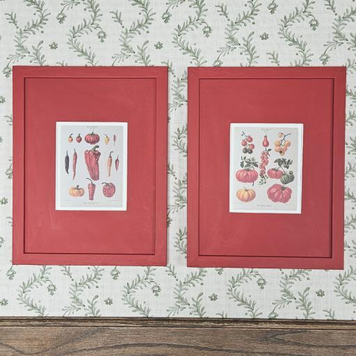 Pair of Vegetable Prints In Red Colour Block Frames